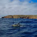 Διαμέρισμα Casa Do Portao Azul - Dourada