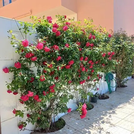 Casa Do Portao Azul - Dourada Appartement *